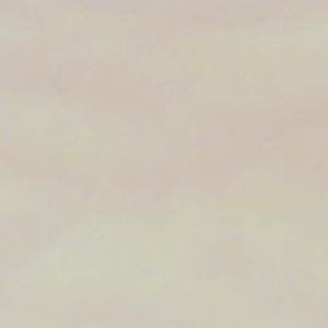 Meet your Posher, travis